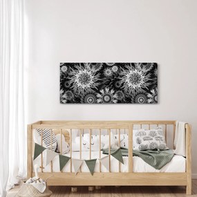 Obraz - Čiernobiele bodliaky (120x50 cm)