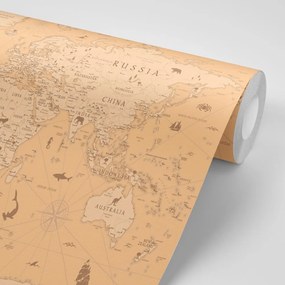 Samolepiaca tapeta mapa v béžovom prevedení - 150x100