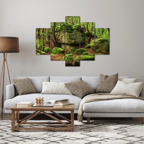 Obraz čarovného lesa (150x105 cm)