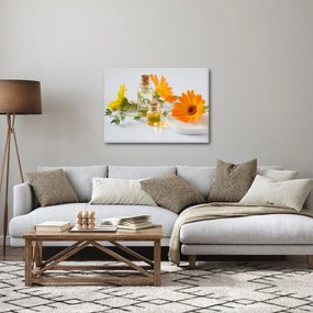 Obraz oranžových kvetín (70x50 cm)