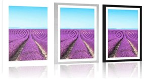 Plagát s paspartou nekonečné levanduľové pole - 40x60 black