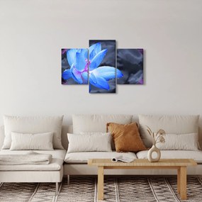 Obraz kvetu v detaile (90x60 cm)