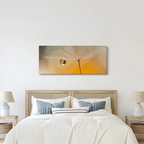 Obraz - Makro kvetu (120x50 cm)