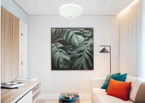 ECOLIGHT LED stropné svietidlo 2xE27 s pohybovým senzorom - sklo