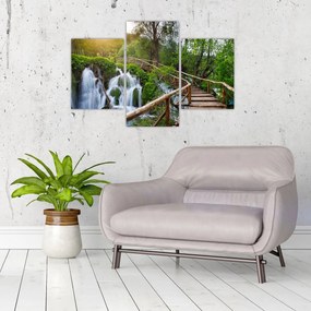 Obraz - Plitvické jazerá (90x60 cm)
