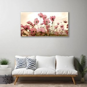 Obraz plexi Poľné kvety lúka príroda 100x50 cm