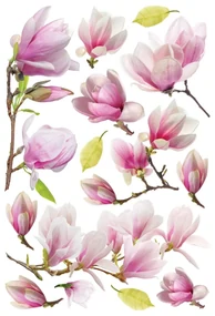 Samolepiaca dekorácia Magnolia Flowers, 42,5 x 65 cm