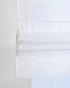 Záclonová roleta  Bolonia farba produktu biela látka polopriehľadný, lesklá