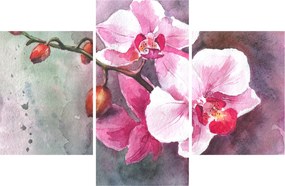 Obraz - Orchidey, aquarel (90x60 cm)