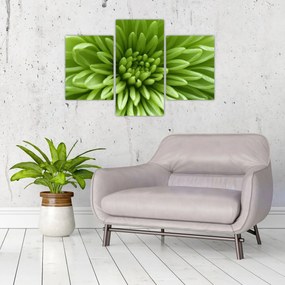 Obraz - Makro snímka rastliny (90x60 cm)