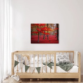 Obraz - Červený les (70x50 cm)