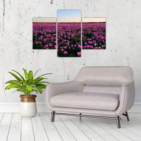 Obraz - Lúka fialových tulipánov (90x60 cm)