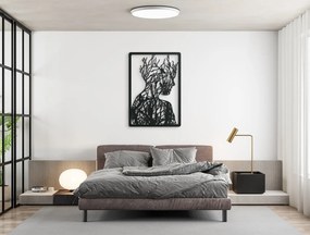 drevko Moderný obraz Žena Rozmer obrazu: 44,5 x 31 cm, Farba dekorácie: Čierna