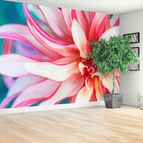 Fototapeta Vliesová Exotická kvetina 250x104 cm