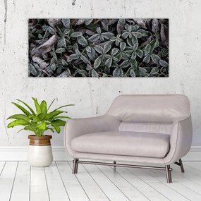 Obraz - Zamrznuté rastliny (120x50 cm)