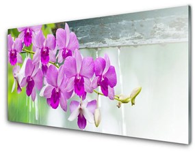 Sklenený obklad Do kuchyne Orchidey kvapky príroda 100x50 cm