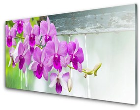 Sklenený obklad Do kuchyne Orchidey kvapky príroda 120x60 cm