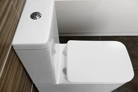 Sapho Sapho, PORTO WC kombi misa s nádržkou Rimless , spodný/zadný odpad, PC102WR