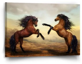 Sablio Obraz Vzpierajúce sa kone - 90x60 cm