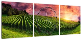 Obraz vinice s farebným nebom (s hodinami) (90x30 cm)