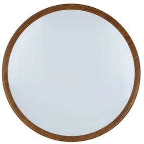 Eglo 98602 - LED Stropné svietidlo MUSURITA LED/33,5W/230V