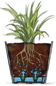 Scheurich Kvetináč Groove Plus, 31 l (karbón)  (100375193)