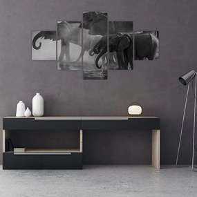 Obraz slonov - čiernobiely (125x70 cm), 40 ďalších rozmerov