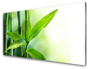 Sklenený obklad Do kuchyne Bambus list rastlina príroda 140x70 cm