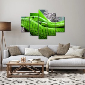 Obraz zelených hadov (150x105 cm)