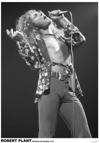 Plagát, Obraz - Led Zeppelin - Robert Plant March 1975 (colour), (59.4 x 84 cm)