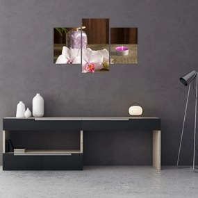 Obraz - Sviečka a orchidey (90x60 cm)