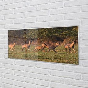 Obraz na akrylátovom skle Deer golf svitania 120x60 cm