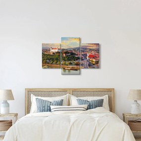 Obraz - Panorama Bratislavy, Slovensko (90x60 cm)