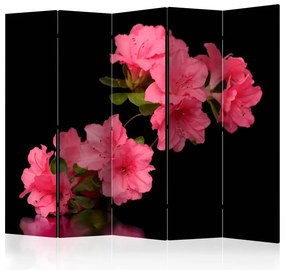 Artgeist Paraván - Azalea in Black [Room Dividers]