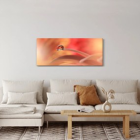 Obraz kvetinové kvapky rosy (120x50 cm)