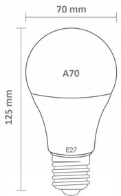ECOLIGHT LED žiarovka E27 10W 24V - teplá biela