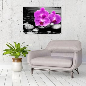 Sklenený obraz - Fialové orchidey (70x50 cm)