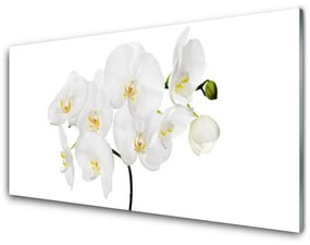 Sklenený obklad Do kuchyne Biela orchidea kvety 120x60 cm