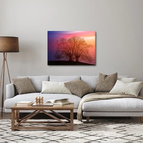 Obraz stromov v hmle (70x50 cm)
