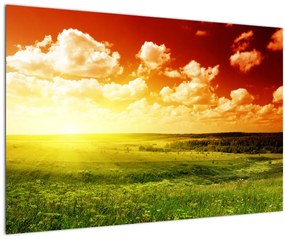 Obraz lúky so žiariacim slnkom (90x60 cm)