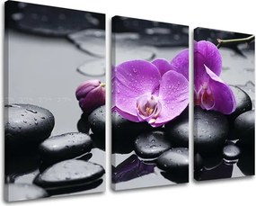 Obraz na stenu 3 dielny FENG SHUI FS011E30