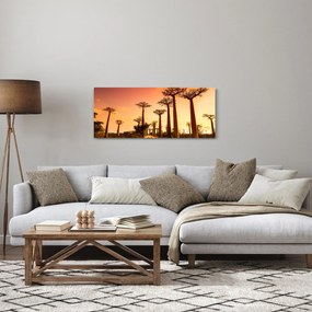 Obraz - Západ slnka v uličke Baobab (120x50 cm)