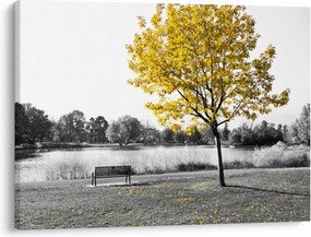 Obraz - Odpočinok v parku (70x50 cm)