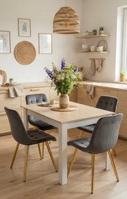 Stolička CIEZA – tmavosivá zamat / zlaté nohy (4 ks)