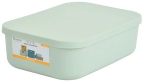 Svetlozelený plastový úložný box s vekom 24x18x8 cm – Homéa