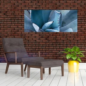 Obraz - Agáve (120x50 cm)