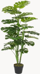 Exteriérová rastlinná dekorácia Philodendron, V 120 cm