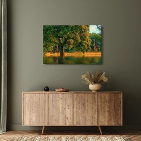 Obraz žirafy v prírode (90x60 cm)
