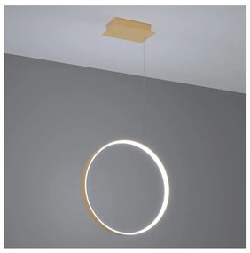 Thoro TH.221 - LED Luster na lanku RIO LED/30W/230V CRI95 4000K pr. 55 cm zlatá