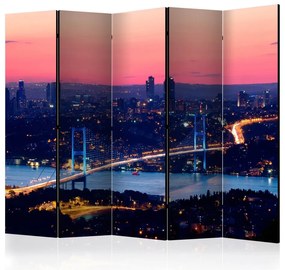 Artgeist Paraván - Bosphorus Bridge II [Room Dividers]